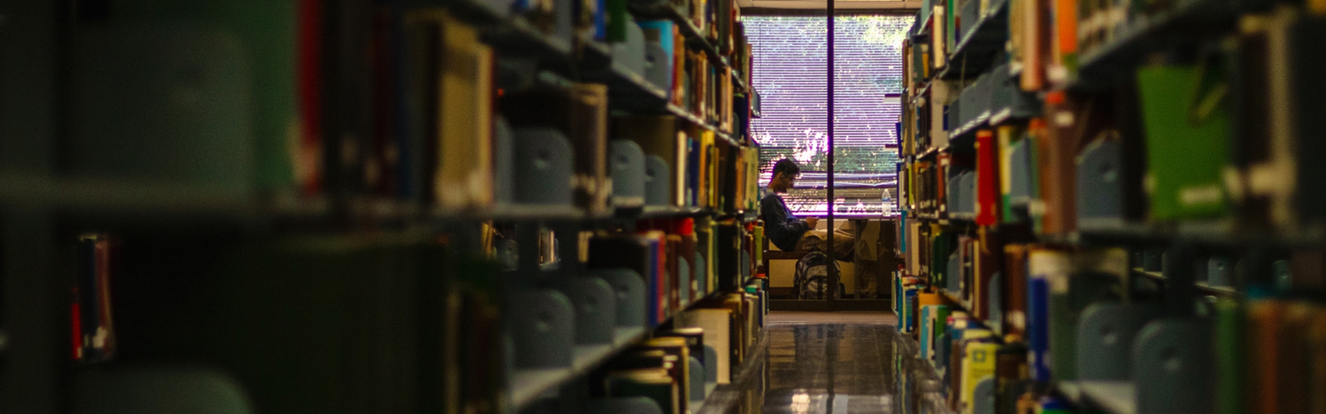 a photo of a student studying in a study carrel in the Md Anderson Library